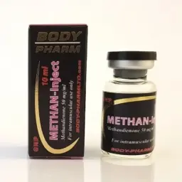 Methan-Inject