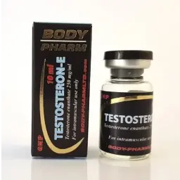 Testosteron-E