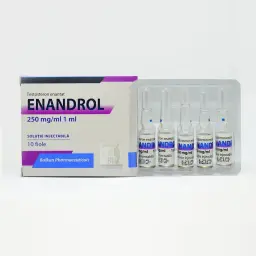 Testosterona E - Enandrol
